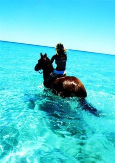 Noosa Queensland horse riding