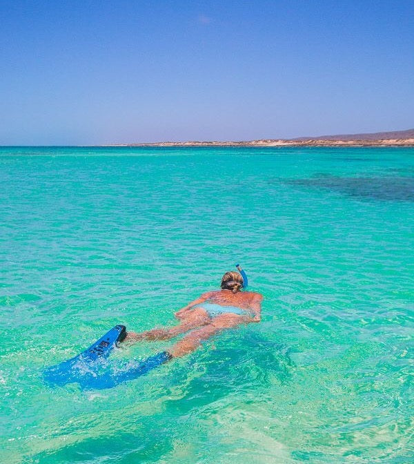 Ningaloo Reef and Swimming with Whale Sharks