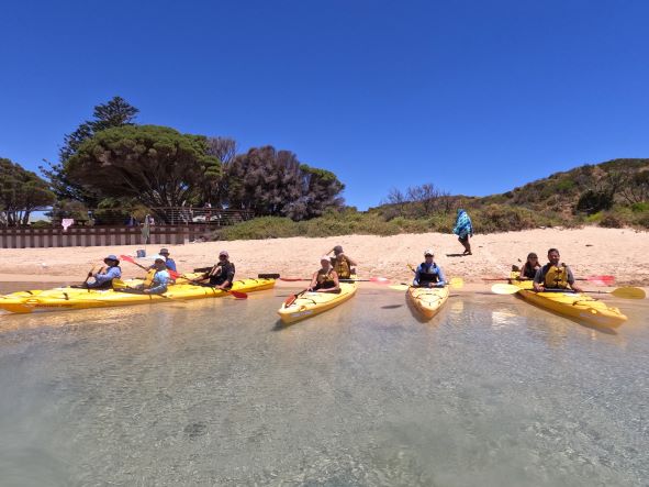 Seal Island Kayak Adventure, Perth